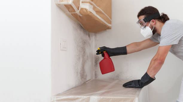 Professional Mold Remediation technician working in Fairview, NY