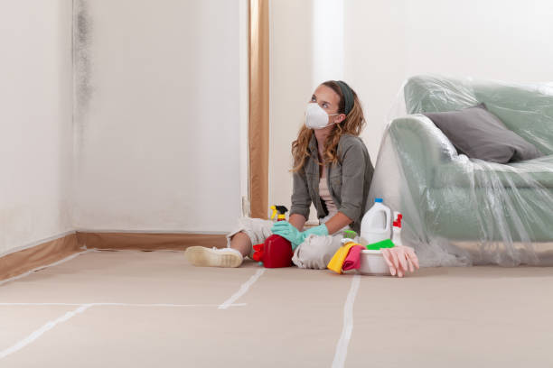 Reliable Mold Remediation contractor in Fairview, NY by WQB Mold Removal